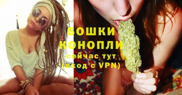 Альфа ПВП Горнозаводск
